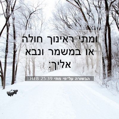 Picture 07 - הבשורה על־פי מתי 25:39 HEB - ומתי ראינוך חולה או במשמר - Bible Verse Picture