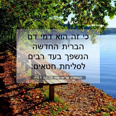Picture 07 - הבשורה על־פי מתי 26:28 HEB - כי זה הוא דמי דם הברית - Bible Verse Picture