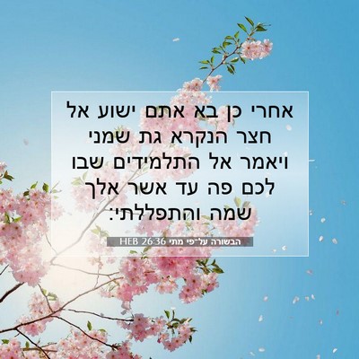 Picture 07 - הבשורה על־פי מתי 26:36 HEB - אחרי כן בא אתם ישוע אל חצר - Bible Verse Picture