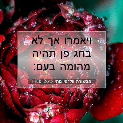 Picture 07 - הבשורה על־פי מתי 26:5 HEB - ויאמרו אך לא בחג פן תהיה - Bible Verse Picture