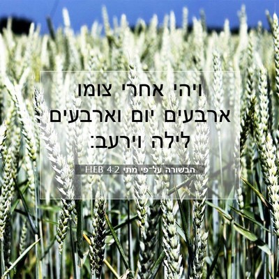 Picture 07 - הבשורה על־פי מתי 4:2 HEB - ויהי אחרי צומו ארבעים יום - Bible Verse Picture