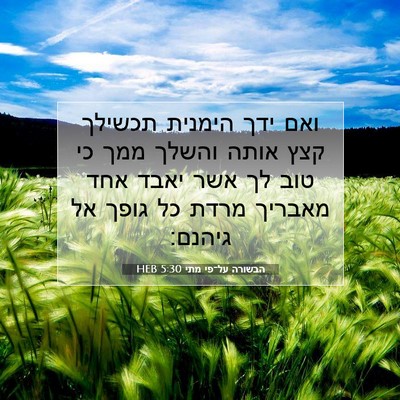 Picture 07 - הבשורה על־פי מתי 5:30 HEB - ואם ידך הימנית תכשילך קצץ - Bible Verse Picture