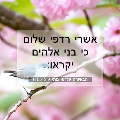 Picture 07 - הבשורה על־פי מתי 5:9 HEB - אשרי רדפי שלום כי בני אלהים - Bible Verse Picture