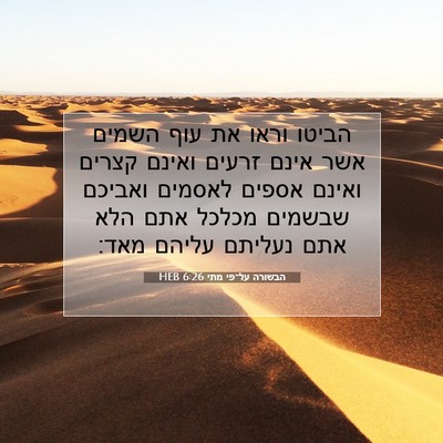 Picture 07 - הבשורה על־פי מתי 6:26 HEB - הביטו וראו את עוף השמים אשר - Bible Verse Picture