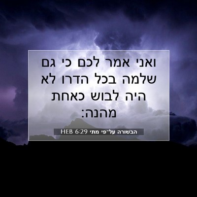 Picture 07 - הבשורה על־פי מתי 6:29 HEB - ואני אמר לכם כי גם שלמה בכל - Bible Verse Picture