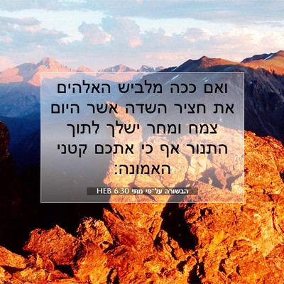 Picture 07 - הבשורה על־פי מתי 6:30 HEB - ואם ככה מלביש האלהים את - Bible Verse Picture
