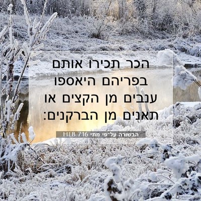 Picture 07 - הבשורה על־פי מתי 7:16 HEB - הכר תכירו אותם בפריהם - Bible Verse Picture