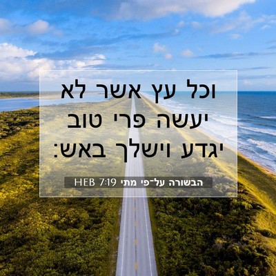 Picture 07 - הבשורה על־פי מתי 7:19 HEB - וכל עץ אשר לא יעשה פרי טוב - Bible Verse Picture