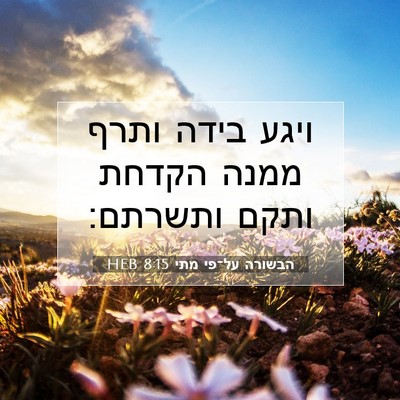 Picture 07 - הבשורה על־פי מתי 8:15 HEB - ויגע בידה ותרף ממנה הקדחת - Bible Verse Picture