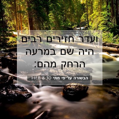 Picture 07 - הבשורה על־פי מתי 8:30 HEB - ועדר חזירים רבים היה שם - Bible Verse Picture