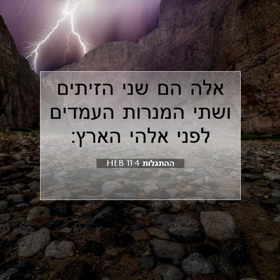 Picture 07 - ההתגלות 11:4 HEB - אלה הם שני הזיתים ושתי - Bible Verse Picture