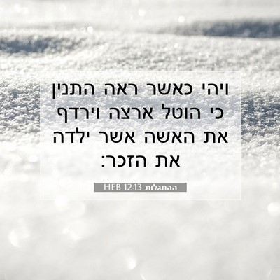 Picture 07 - ההתגלות 12:13 HEB - ויהי כאשר ראה התנין כי הוטל - Bible Verse Picture