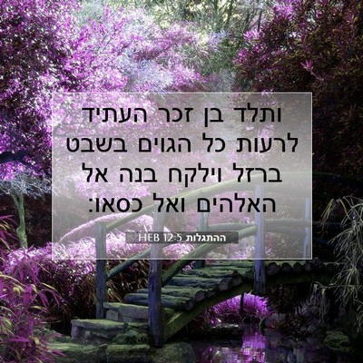 Picture 07 - ההתגלות 12:5 HEB - ותלד בן זכר העתיד לרעות כל - Bible Verse Picture