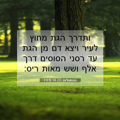 Picture 07 - ההתגלות 14:20 HEB - ותדרך הגת מחוץ לעיר ויצא דם - Bible Verse Picture