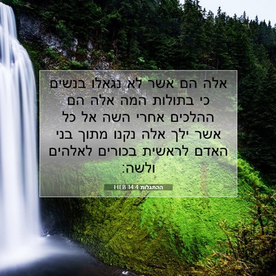 Picture 07 - ההתגלות 14:4 HEB - אלה הם אשר לא נגאלו בנשים - Bible Verse Picture