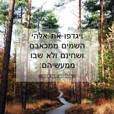 Picture 07 - ההתגלות 16:11 HEB - ויגדפו את אלהי השמים - Bible Verse Picture