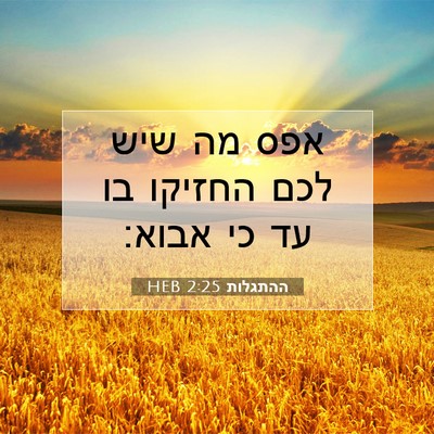 Picture 07 - ההתגלות 2:25 HEB - אפס מה שיש לכם החזיקו בו עד - Bible Verse Picture