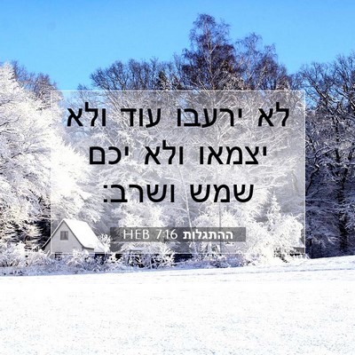 Picture 07 - ההתגלות 7:16 HEB - לא ירעבו עוד ולא יצמאו ולא - Bible Verse Picture