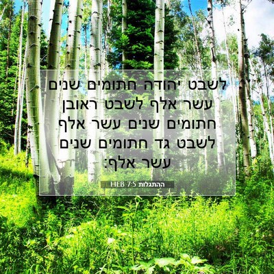 Picture 07 - ההתגלות 7:5 HEB - לשבט יהודה חתומים שנים עשר - Bible Verse Picture