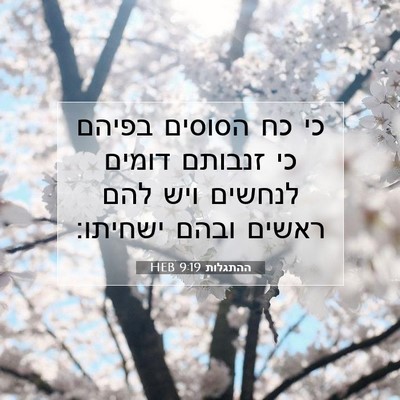 Picture 07 - ההתגלות 9:19 HEB - כי כח הסוסים בפיהם כי - Bible Verse Picture