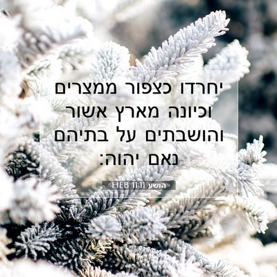 Picture 07 - הושע 11:11 HEB - יחרדו כצפור ממצרים וכיונה - Bible Verse Picture