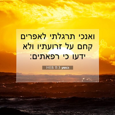Picture 07 - הושע 11:3 HEB - ואנכי תרגלתי לאפרים קחם על - Bible Verse Picture