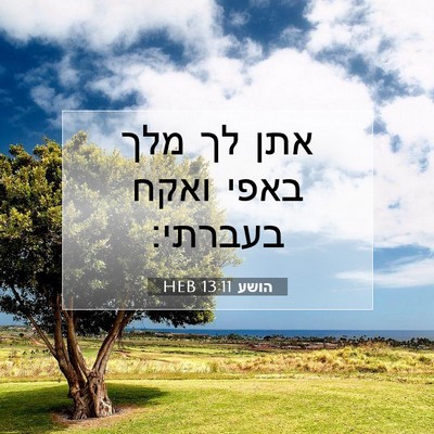 Picture 07 - הושע 13:11 HEB - אתן לך מלך באפי ואקח - Bible Verse Picture