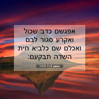 Picture 07 - הושע 13:8 HEB - אפגשם כדב שכול ואקרע סגור - Bible Verse Picture