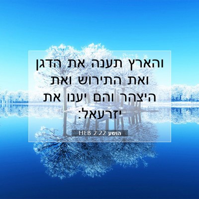 Picture 07 - הושע 2:22 HEB - והארץ תענה את הדגן ואת - Bible Verse Picture