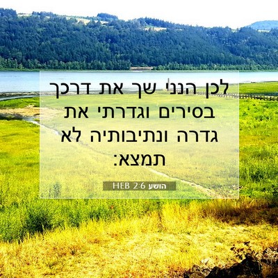Picture 07 - הושע 2:6 HEB - לכן הנני שך את דרכך בסירים - Bible Verse Picture