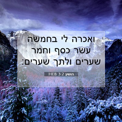 Picture 07 - הושע 3:2 HEB - ואכרה לי בחמשה עשר כסף וחמר - Bible Verse Picture