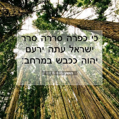 Picture 07 - הושע 4:16 HEB - כי כפרה סררה סרר ישראל עתה - Bible Verse Picture