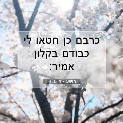 Picture 07 - הושע 4:7 HEB - כרבם כן חטאו לי כבודם בקלון - Bible Verse Picture