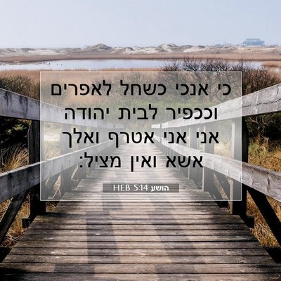 Picture 07 - הושע 5:14 HEB - כי אנכי כשחל לאפרים וככפיר - Bible Verse Picture