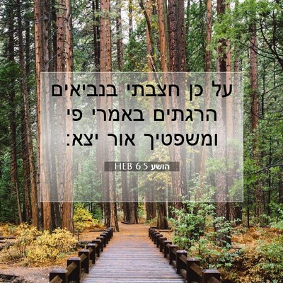 Picture 07 - הושע 6:5 HEB - על כן חצבתי בנביאים הרגתים - Bible Verse Picture