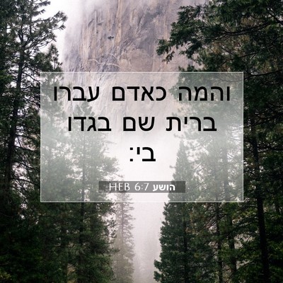 Picture 07 - הושע 6:7 HEB - והמה כאדם עברו ברית שם בגדו - Bible Verse Picture