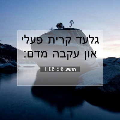 Picture 07 - הושע 6:8 HEB - גלעד קרית פעלי און עקבה - Bible Verse Picture
