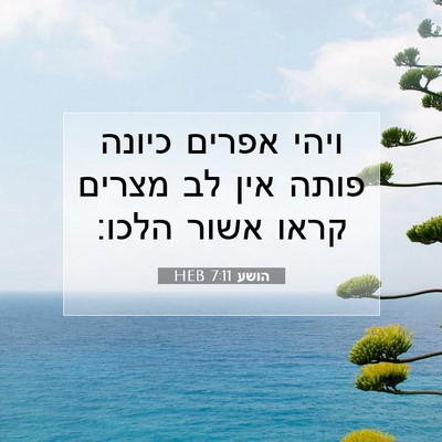 Picture 07 - הושע 7:11 HEB - ויהי אפרים כיונה פותה אין - Bible Verse Picture