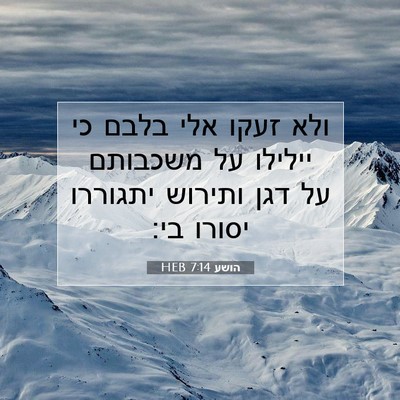 Picture 07 - הושע 7:14 HEB - ולא זעקו אלי בלבם כי יילילו - Bible Verse Picture