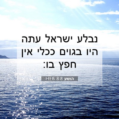 Picture 07 - הושע 8:8 HEB - נבלע ישראל עתה היו בגוים - Bible Verse Picture