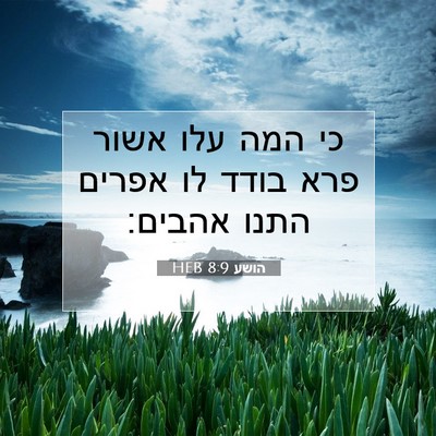 Picture 07 - הושע 8:9 HEB - כי המה עלו אשור פרא בודד לו - Bible Verse Picture