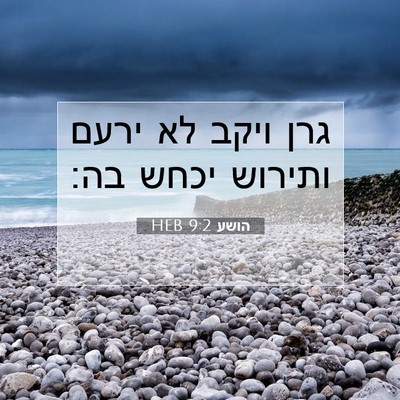 Picture 07 - הושע 9:2 HEB - גרן ויקב לא ירעם ותירוש - Bible Verse Picture