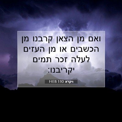 Picture 07 - ויקרא 1:10 HEB - ואם מן הצאן קרבנו מן הכשבים - Bible Verse Picture