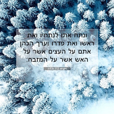 Picture 07 - ויקרא 1:12 HEB - ונתח אתו לנתחיו ואת ראשו - Bible Verse Picture