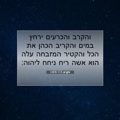 Picture 07 - ויקרא 1:13 HEB - והקרב והכרעים ירחץ במים - Bible Verse Picture