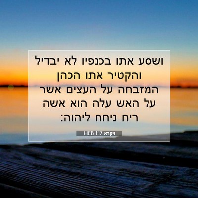 Picture 07 - ויקרא 1:17 HEB - ושסע אתו בכנפיו לא יבדיל - Bible Verse Picture