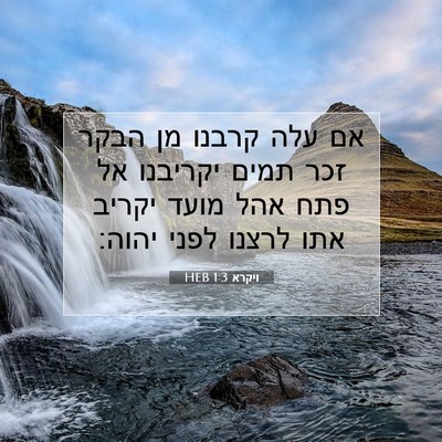 Picture 07 - ויקרא 1:3 HEB - אם עלה קרבנו מן הבקר זכר - Bible Verse Picture