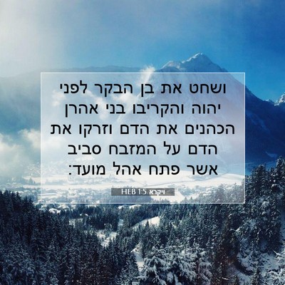 Picture 07 - ויקרא 1:5 HEB - ושחט את בן הבקר לפני יהוה - Bible Verse Picture