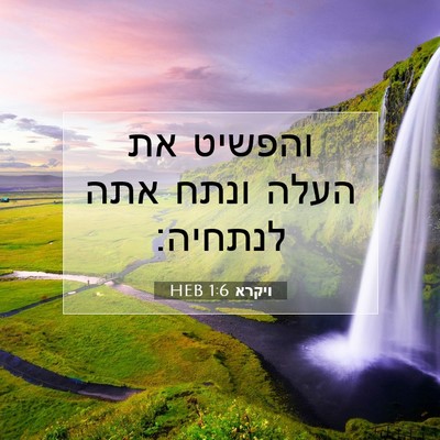 Picture 07 - ויקרא 1:6 HEB - והפשיט את העלה ונתח אתה - Bible Verse Picture