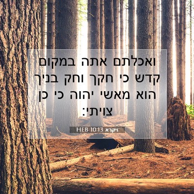 Picture 07 - ויקרא 10:13 HEB - ואכלתם אתה במקום קדש כי חקך - Bible Verse Picture
